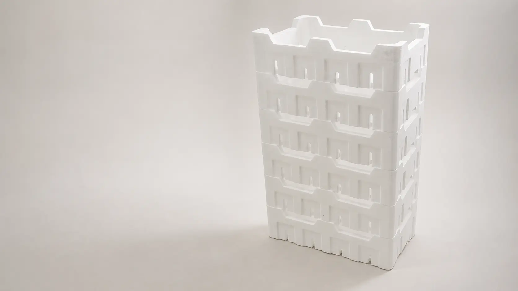 Embalajes EPS para productos frescos
